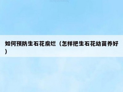如何预防生石花腐烂（怎样把生石花幼苗养好）