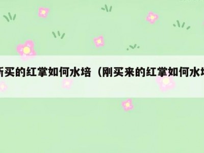新买的红掌如何水培（刚买来的红掌如何水培）