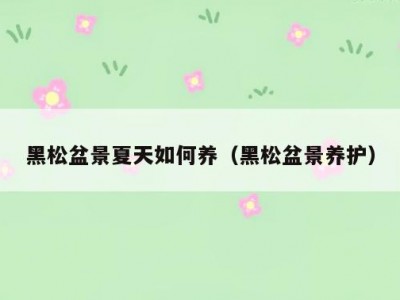 黑松盆景夏天如何养（黑松盆景养护）