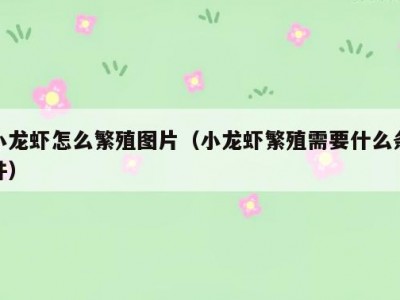 小龙虾怎么繁殖图片（小龙虾繁殖需要什么条件）
