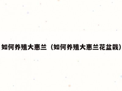 如何养殖大惠兰（如何养殖大惠兰花盆栽）