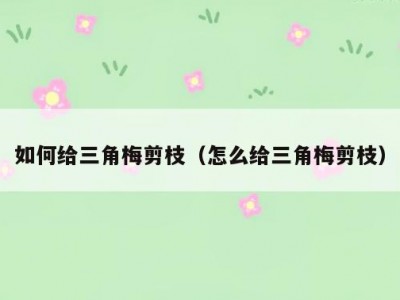 如何给三角梅剪枝（怎么给三角梅剪枝）