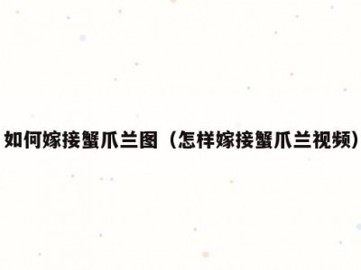如何嫁接蟹爪兰图（怎样嫁接蟹爪兰视频）