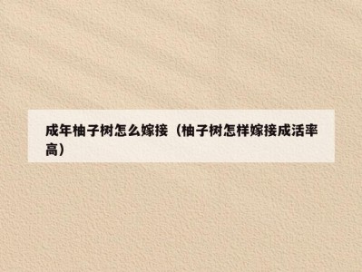 成年柚子树怎么嫁接（柚子树怎样嫁接成活率高）