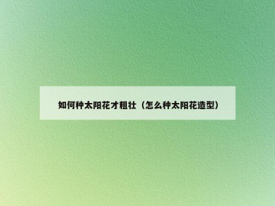 如何种太阳花才粗壮（怎么种太阳花造型）