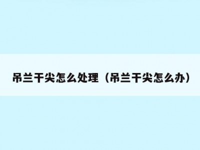 吊兰干尖怎么处理（吊兰干尖怎么办）