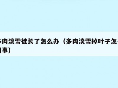 多肉淡雪徒长了怎么办（多肉淡雪掉叶子怎么回事）