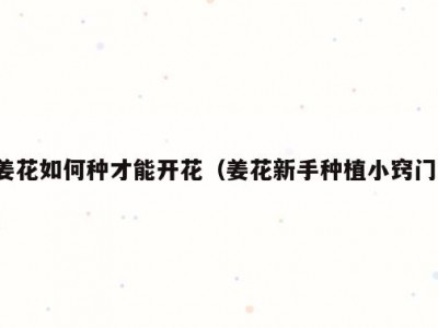 姜花如何种才能开花（姜花新手种植小窍门）