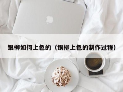 银柳如何上色的（银柳上色的制作过程）