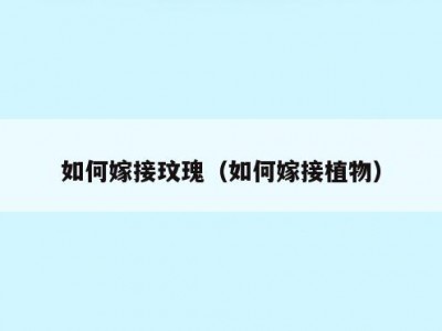 如何嫁接玟瑰（如何嫁接植物）