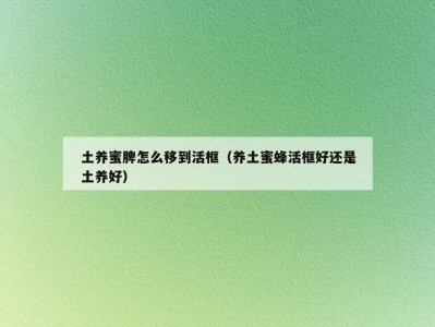 土养蜜脾怎么移到活框（养土蜜蜂活框好还是土养好）
