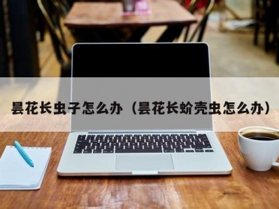 昙花长虫子怎么办（昙花长蚧壳虫怎么办）