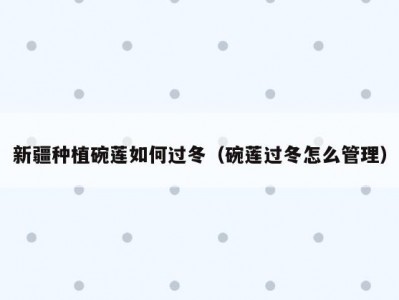 新疆种植碗莲如何过冬（碗莲过冬怎么管理）