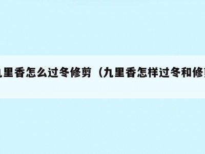 九里香怎么过冬修剪（九里香怎样过冬和修剪）