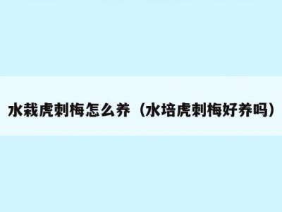 水栽虎刺梅怎么养（水培虎刺梅好养吗）