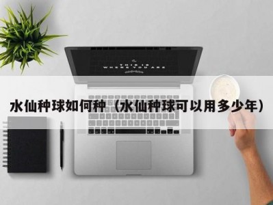 水仙种球如何种（水仙种球可以用多少年）