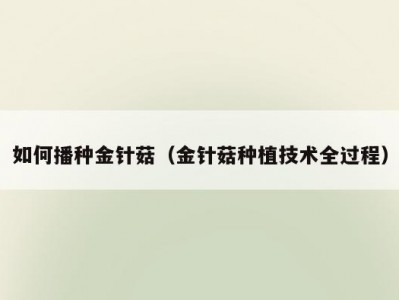 如何播种金针菇（金针菇种植技术全过程）