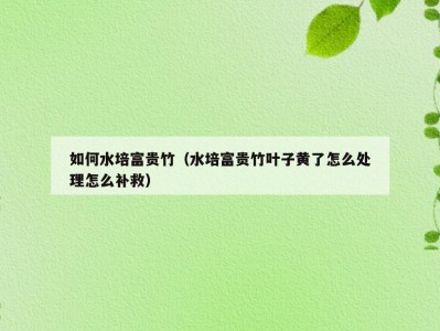 如何水培富贵竹（水培富贵竹叶子黄了怎么处理怎么补救）