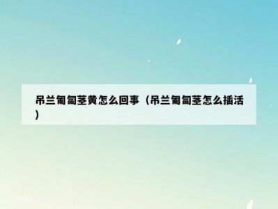 吊兰匍匐茎黄怎么回事（吊兰匍匐茎怎么插活）