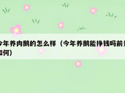 今年养肉鹅的怎么样（今年养鹅能挣钱吗前景如何）