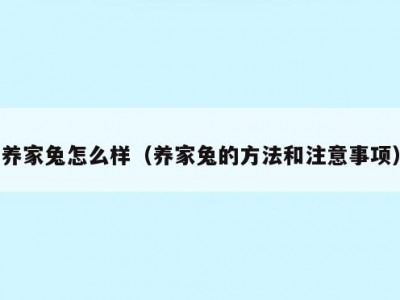 养家兔怎么样（养家兔的方法和注意事项）