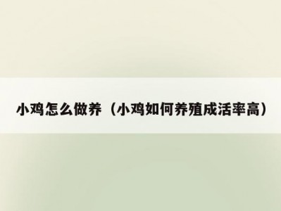 小鸡怎么做养（小鸡如何养殖成活率高）