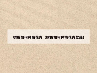 树桩如何种植花卉（树桩如何种植花卉盆栽）