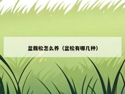 盆裁松怎么养（盆松有哪几种）
