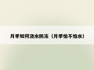 月季如何浇水防冻（月季怕不怕水）