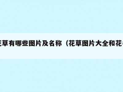 花草有哪些图片及名称（花草图片大全和花名）