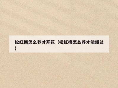 松红梅怎么养才开花（松红梅怎么养才能爆盆）