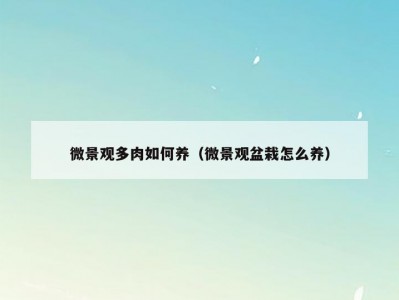 微景观多肉如何养（微景观盆栽怎么养）