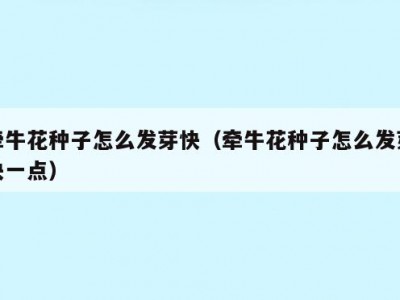 牵牛花种子怎么发芽快（牵牛花种子怎么发芽快一点）