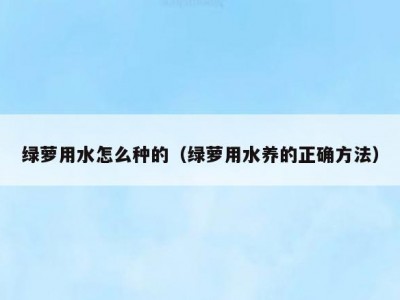 绿萝用水怎么种的（绿萝用水养的正确方法）