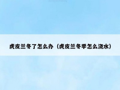 虎皮兰冬了怎么办（虎皮兰冬季怎么浇水）