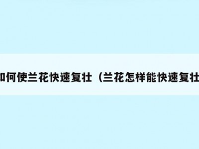 如何使兰花快速复壮（兰花怎样能快速复壮）