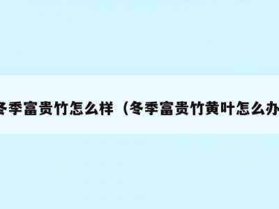 冬季富贵竹怎么样（冬季富贵竹黄叶怎么办）