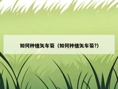 如何种植矢车菊（如何种植矢车菊?）
