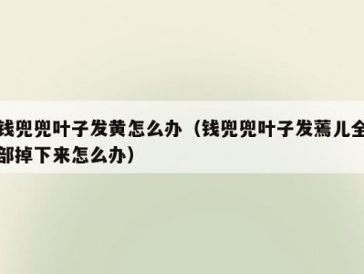 钱兜兜叶子发黄怎么办（钱兜兜叶子发蔫儿全部掉下来怎么办）