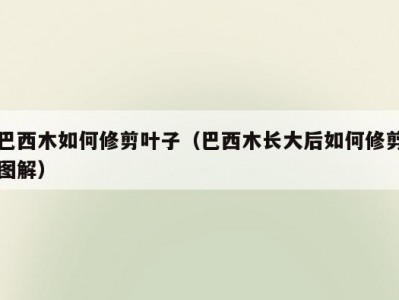 巴西木如何修剪叶子（巴西木长大后如何修剪图解）
