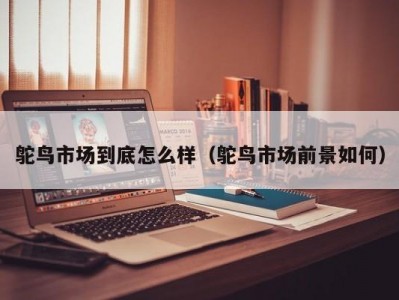 鸵鸟市场到底怎么样（鸵鸟市场前景如何）