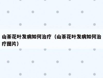 山茶花叶发病如何治疗（山茶花叶发病如何治疗图片）
