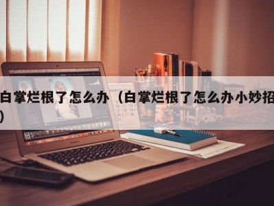 白掌烂根了怎么办（白掌烂根了怎么办小妙招）