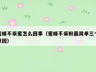 蜜蜂不采蜜怎么回事（蜜蜂不采粉最简单三个原因）