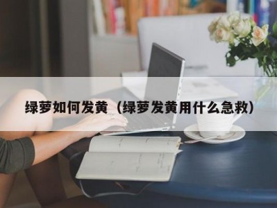 绿萝如何发黄（绿萝发黄用什么急救）
