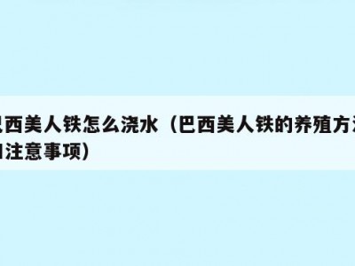 巴西美人铁怎么浇水（巴西美人铁的养殖方法和注意事项）