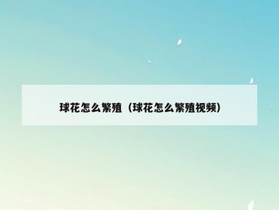 球花怎么繁殖（球花怎么繁殖视频）