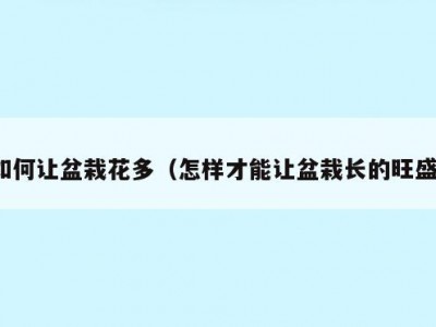 如何让盆栽花多（怎样才能让盆栽长的旺盛）
