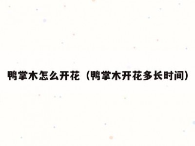 鸭掌木怎么开花（鸭掌木开花多长时间）