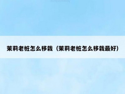 茉莉老桩怎么移栽（茉莉老桩怎么移栽最好）